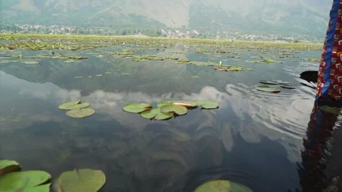 Floating thru lotus with sky reflection in Dal Lake, Srinagar, Kasmir, India Video stock 285117672