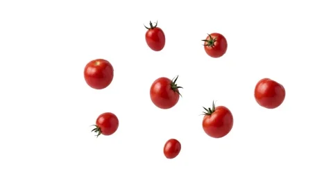 Floating tomatoes isolated on white Stock Footage 339340782