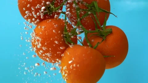 Floating tomatoes in water flow bubbles, blue background, close up slow motion Stock Footage 156404574