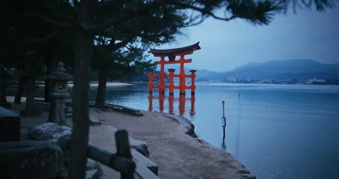 Floating Torii Gate at Dusk Itsukushima Shrine Miyajima Japan Stock Footage 344700436