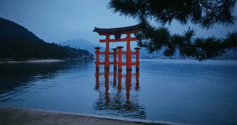 Floating Torii Gate at Dusk Miyajima Island Hiroshima Japan Stock Footage 344700210