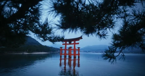 Floating Torii Gate Miyajima at Dusk Framed by Pine Branches Stock Footage 344700261