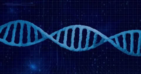 Floating translucent blue DNA helix spanning virtual lab floor, showing grid  Stock Illustration