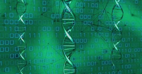 Floating translucent DNA helix hovering in virtual data environment, with bin Stock Photos