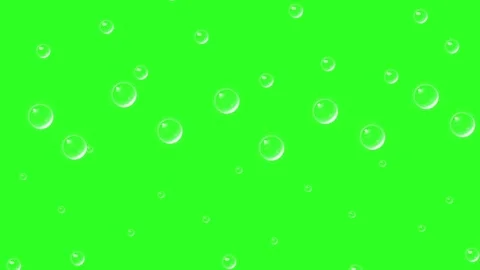 Floating transparent soap bubbles rising on a vibrant green screen background Stock Footage 346504167