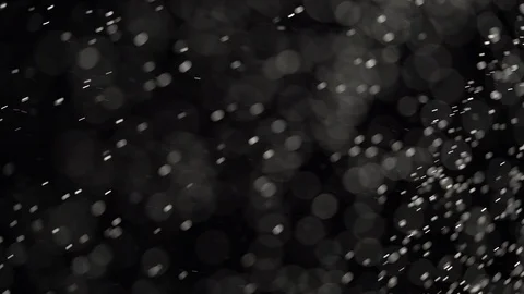 Floating transparent specks of dust are shining on black background. Stock Footage 109794568