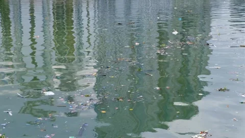 Floating trash debris pollution seagulls searching for food scraps on Pasig Vídeo Stock 309940324