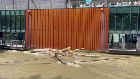 Floating tree branches pile against a modern building with wooden paneling Видео 298613703