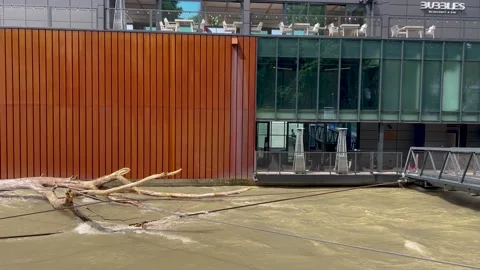 Floating tree branches pile against a modern building with wooden paneling Stock Footage 301541276