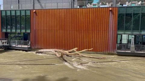 Floating tree branches pile against a modern building Stockbeeldmateriaal 302195045