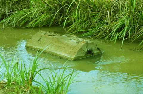 A floating trunk Stock Photos