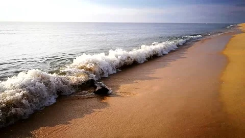 Floating Trunk Wave VID 20170626 075135 Stock Footage 145543839