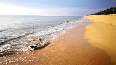 Floating Trunk Wave VID 20170626 075147 Stock Footage 145543972