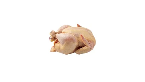A floating turkey isolated on white Stock Footage 339340651