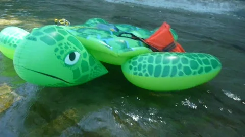 Floating Turtle Stock Footage 781860