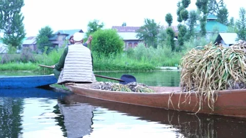 Floating Vegetable Market on Dal Lake Stock Footage 336480543