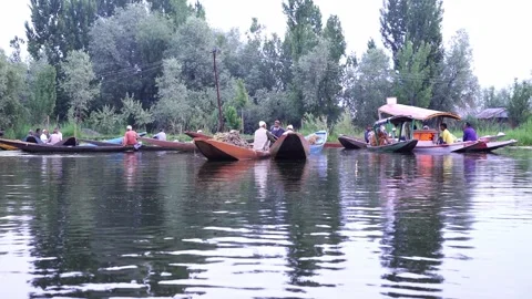 Floating Vegetable Market on Dal Lake Stock Footage 336480572