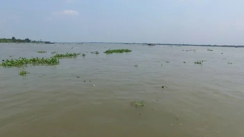 Floating vegetation on the Mekong River Stock Footage 73282050