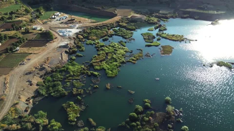 Floating vegetation in water. Natural floating islands Stock Footage 258366861