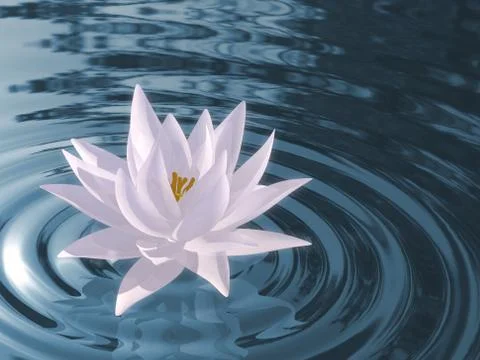 Floating waterlily Stock Illustration