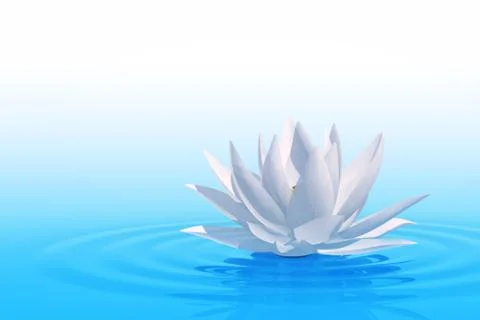 Floating waterlily Stock Illustration