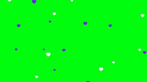 Floating White And Purple Heart Shapes Green Screen Chroma Key Background Stock Footage 341586933