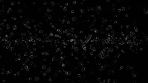 Floating White Bubbles Abstract Overlay on Black Background Stock Footage 341892802