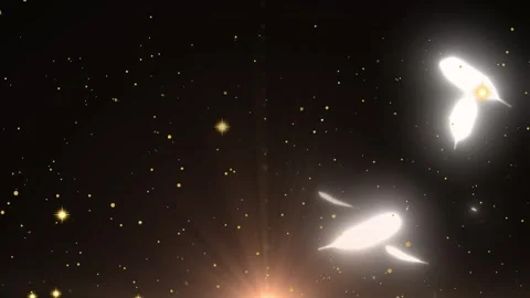 Floating white feathers descending amidst glowing golden particles against dark Vidéo 345332409