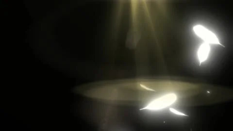 Floating white feathers descending through golden spotlight beams against deep 動画素材 345332400