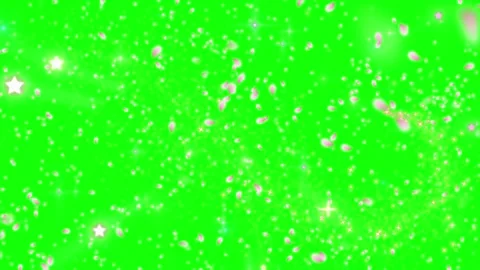 Floating white flower petals and glowing stars on a green screen background Stock Footage 345017186