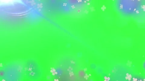 Floating white flowers on green screen background with lens flare effects 库存影片 343848013