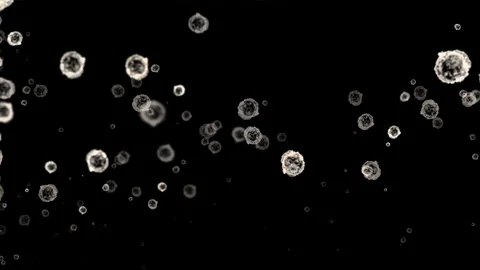 Floating White Particles on Black Background: A Microscopic Cell Animation Stock Footage 309842247