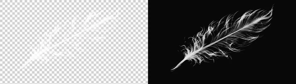 Floating white smoke feather design on dark background representing delicat.. Stock Illustration
