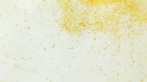Floating yellow dust particles - abstract animation with clear background Stock Footage 51149532
