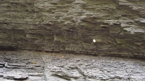 A floating yellow leaf by the Rainbow Falls and beautiful gorge in Watkins Gl 스톡 동영상 220238862