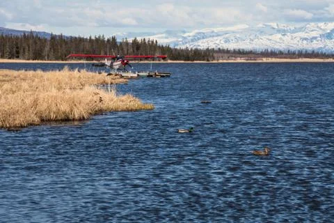 Floatplane and ducks on alaskan lake Stock Photos