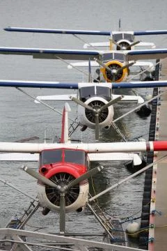 Floatplane Base Dock Fotos Stock