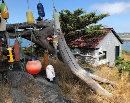Floats on a tree Stock Photos
