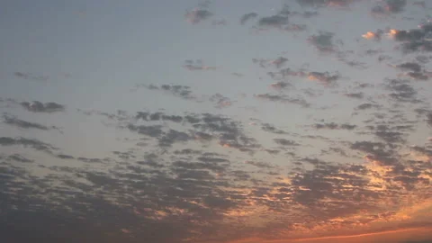 Flock of albatross in twilight sky Stock Footage 113521846