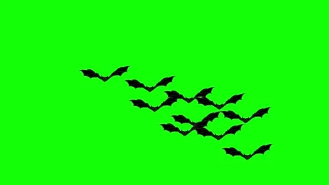 Flock of bats flying animation on green screen chroma key background for keying Stock Footage 346016009