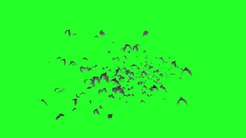 Flock of bats on a green background 3D render Video stock 80384387