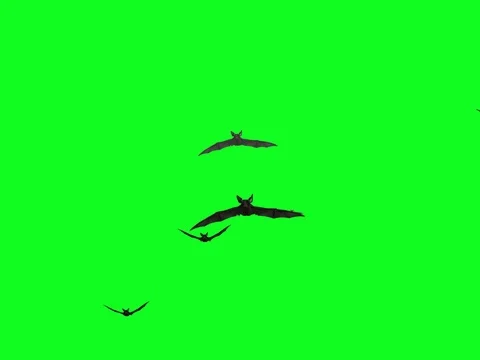 Flock of bats on a green background 3D render Stock Footage 81009957
