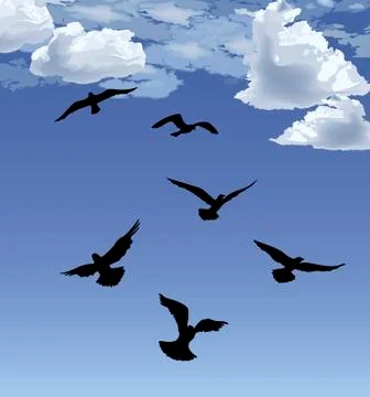 Flock of bird flying Blue sky background. Animal wildlife Stock Illustration