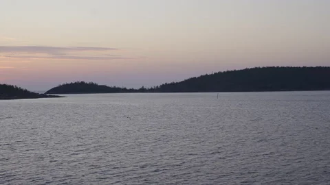 Flock of bird flying over the ocean surface during early morning sunrise Stock Footage 158816958