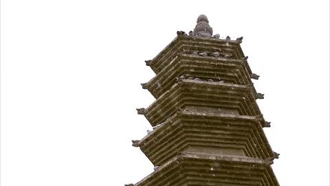 Flock of bird perching at Shaolin Temple during snowfall Stock Footage 89761652