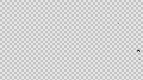 Flock Of Birds 006 Stock Footage 62940337