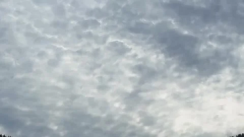 A flock of birds flies against a cloudy sky. Slow motion video. Stock-Footage 306017559
