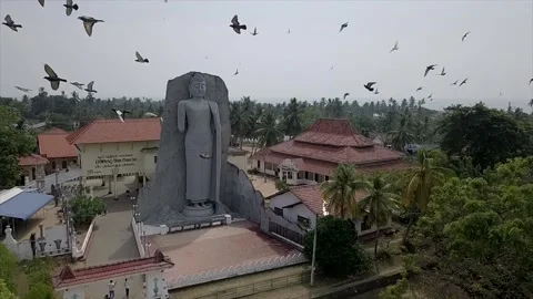 A flock of birds flies on the background of the statue Stock Footage 148159976