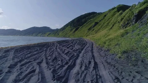 A flock of birds flies Stock Footage 80081219