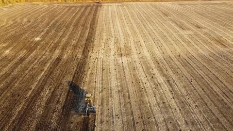 A flock of birds flies over a tractor working in the field. Aerial view. Stockbeeldmateriaal 140900544